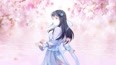 万花胡同，项目启动