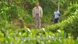 温柔的慈悲：阿祥多年后再回自己茶庄，看着眼前的场景湿了眼眶！