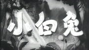 小白兔(1954)电影完整版视频在线观看爱奇艺