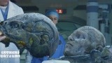 普罗米修斯：博士研究外星人头颅，宇航服一摘掉，突然活了