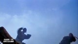 太极张三丰：李连杰的太极太帅了，最后大战实在过瘾，绝对经典