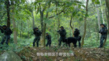 利刃出击：夏冬巧施计伏击，猎豹突击队全员大意被俘