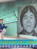 梅姨案二审未当庭宣判被告人张维平梅姨真实存在之前画像不像