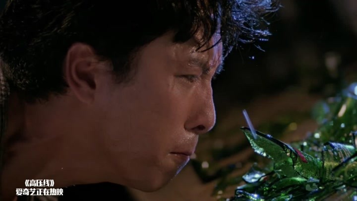 高压线:妻子遭残忍杀害,甄子丹血战功夫杀手,强强对决太精彩!