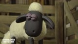 小羊肖恩：农场主支配小羊们，伤心也没办法，太难了！