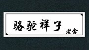 《骆驼祥子》|老舍经典教育高清正版视频在线观看爱奇艺