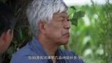 我的土地我的家：儿子被补偿诱惑当起说客，可老父亲死活不让土地