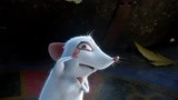 魔法总动员：流浪的小猫，遇到一只小白鼠，小白鼠要惨了