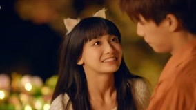 Watch the latest Lianlian Information Agency: "Make a Wish", the "sufferings" of a cat in love at home! online with English subtitle for free English Subtitle