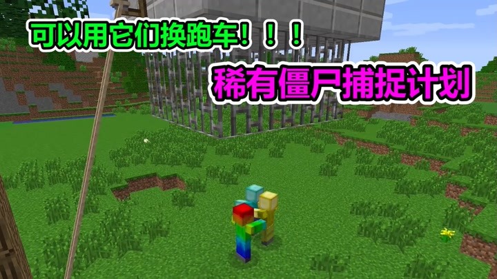 老玩家小熊