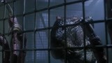 侏罗纪公园3：恐龙还知道爬围栏，还好博士反应快，差点被吃了