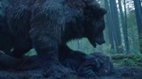 荒野猎人：小李子和熊肉搏，谁多口气就是胜利，奥斯卡代表作
