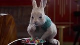 比得兔2：小兔子吃糖果，好吃到跺脚，萌死了