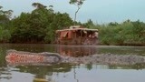 狂蟒之灾：本以为河里只有鳄鱼，殊不知还有条食人巨蟒，太可怕了