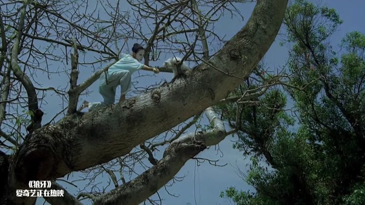 狼牙：卢靖姗敷面膜爬树，差点摔死，幸好有吴京公主抱