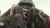 金刚骷髅岛：史前大猩猩身高30米，手撕大章鱼吃，太凶残
