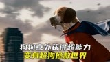 狗狗意外获得超能力，变身超狗打击罪犯，拯救世界《超狗任务》