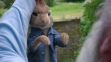 《比得兔》小兔子又溜进菜园子，谁想中老头的计，这下要被吃掉