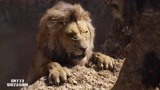 狮子王：狮王被刀疤杀害，辛巴开始了逃亡