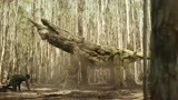 金刚骷髅岛：小伙坐在“树干”上，结果树干是活的！