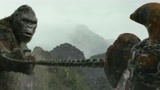 《金刚骷髅岛》：金刚太厉害了挣脱铁链，拿起螺旋桨暴锤大蜥蜴！