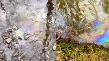 俄亥俄州河流现状：美议员用木棍划过河床底部，水面浮现彩色物质