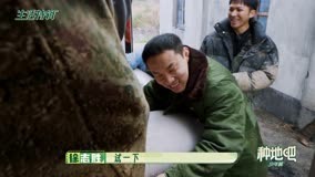 Watch the latest 抢先看：兄弟团搬种子比拼 笑果猛男徐志胜毫不示弱 (2023) online with English subtitle for free English Subtitle