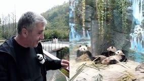 女婿带外国老丈人看大熊猫，开心又激动大饱眼福：喜欢溢出屏幕了