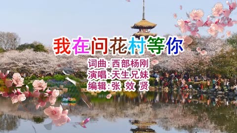 天生兄妹演唱的《我在问花村等你》旋律优美，深情好听