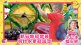 戴安娜和罗曼寻找水果和蔬菜