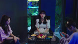 锦鲤是个技术活 第17集预告