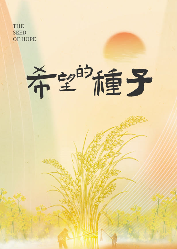 时光里的乡村希望的种子