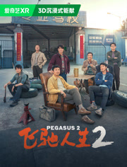 飞驰人生2（3D）