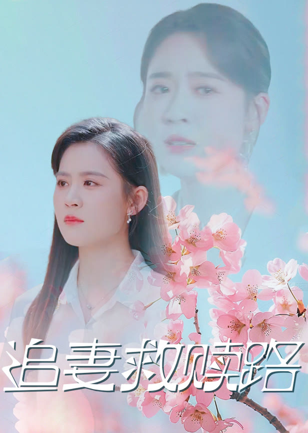 追妻救赎路