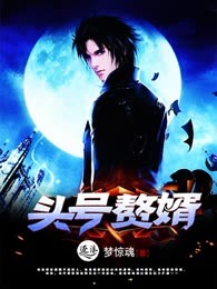 头号赘婿