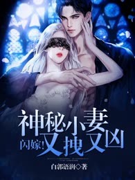 闪嫁！神秘小妻又拽又凶