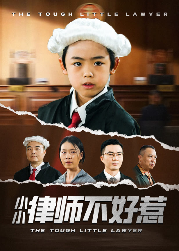 小小律师不好惹