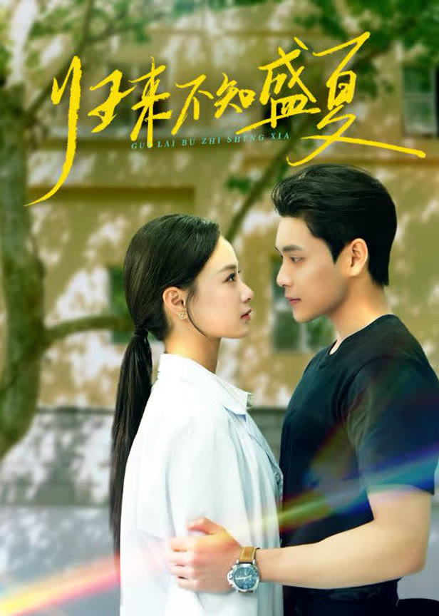 归来不知盛夏