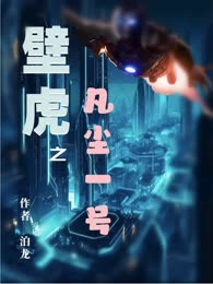 壁虎（之）凡尘一号