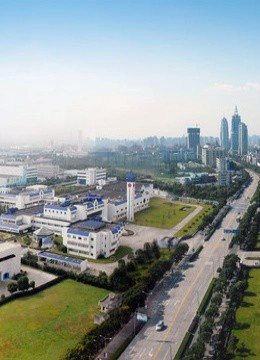 美丽金桥}