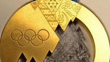 2014俄索契冬奥会：幸运冠军将获“陨石金牌”