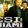 犯罪现场调查：迈阿密第9季