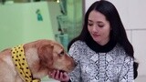 《神犬小七》曝花絮 明星犬演技惊艳