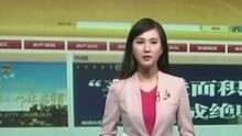 法治最前線 2015-08-06