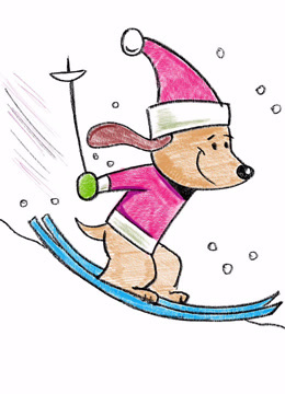 动物滑雪绘画图片
