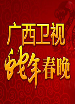 广西卫视2013春晚