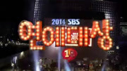 SBS演艺大赏2014