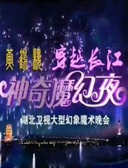 穿越长江•黄鹤楼神奇魔幻夜大型魔幻盛典