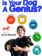国家地理：你的狗狗是天才吗