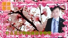云南山歌:十二月猜花